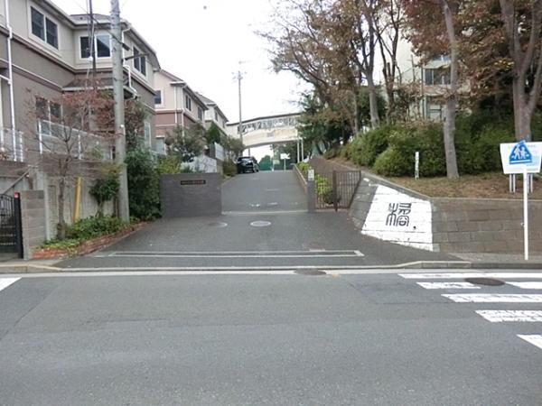 Junior high school. Tachibana 800m until junior high school