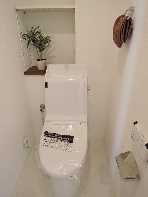 Toilet. Lower floor