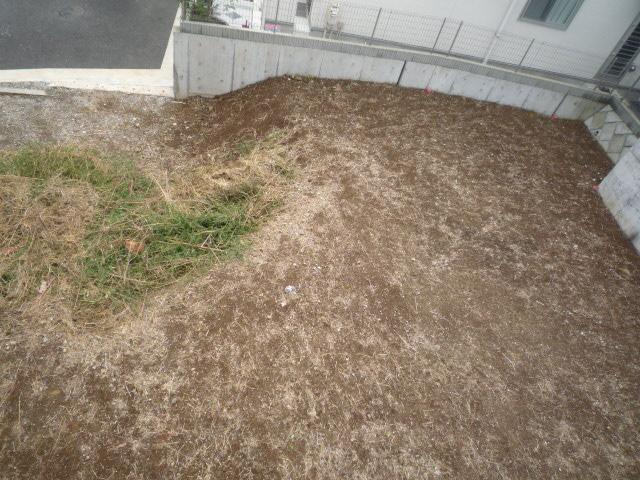 Local land photo. Local (10 May 2013) Shooting