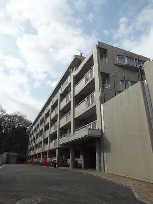 Local appearance photo. Appearance (1)
