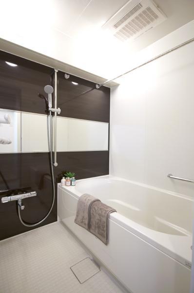Bathroom. Indoor (12 May 2013) Shooting