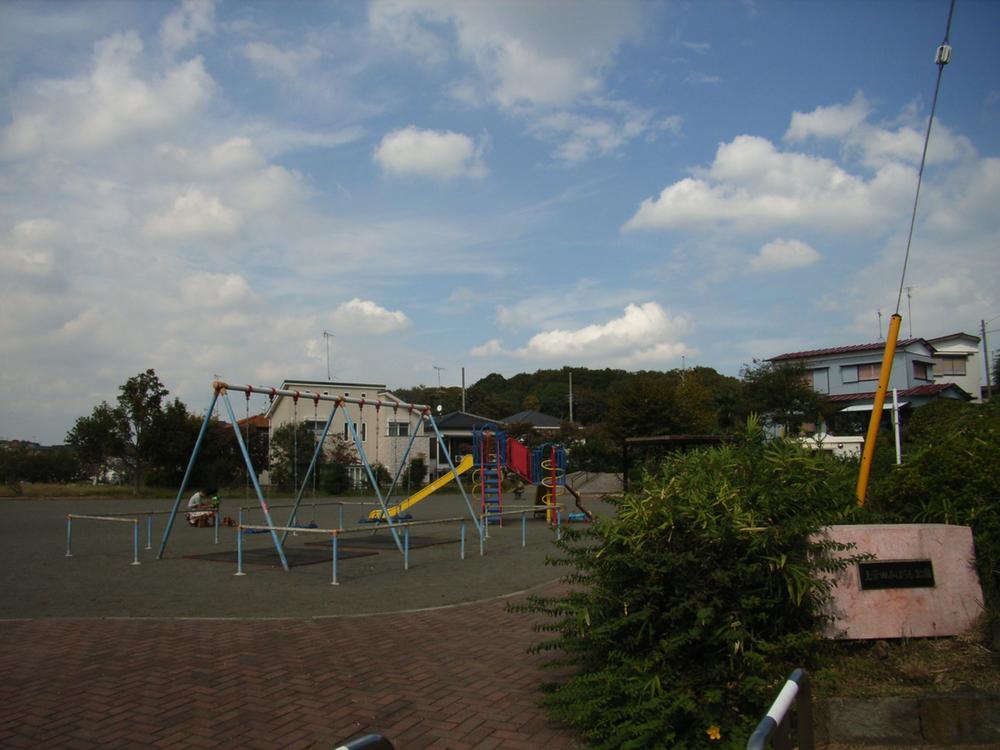 Other. Surrounding environment