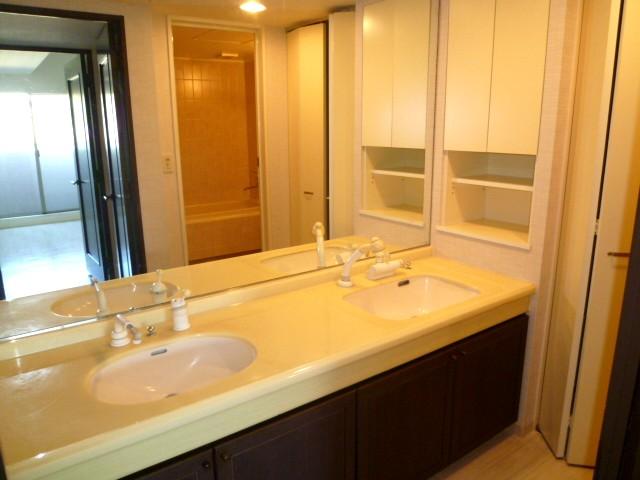 Wash basin, toilet. 2 ball vanity