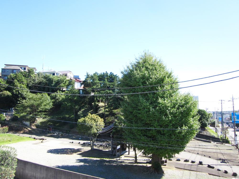 View photos from the dwelling unit. View from local