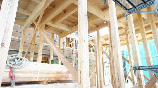 Other introspection. Local Photos