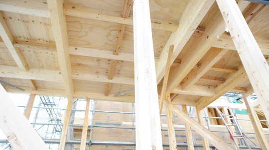 Other introspection. Local Photos