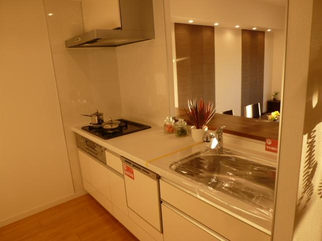 Kitchen. Indoor (12 May 2013) Shooting