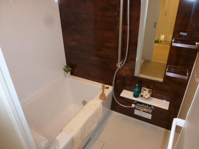 Bathroom. Indoor (11 May 2013) Shooting