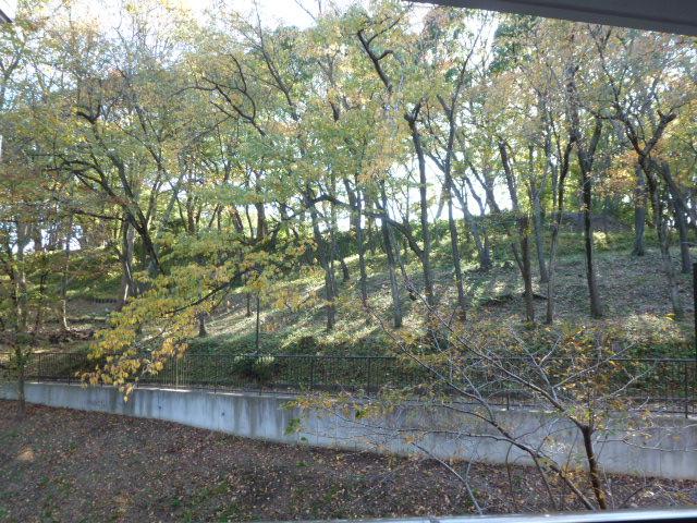 View photos from the dwelling unit. View from the site (November 2013) Shooting