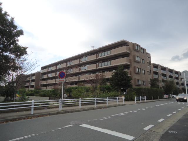 Local appearance photo. Local (11 May 2013) Shooting