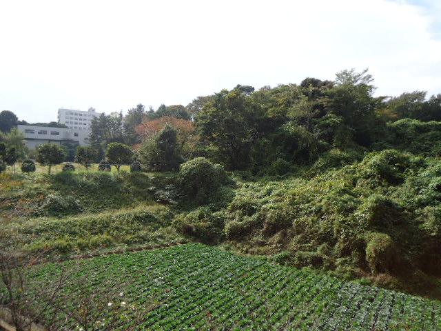 View photos from the dwelling unit. View from the site (November 2013) Shooting