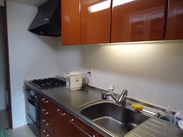 Kitchen. Indoor (11 May 2013) Shooting