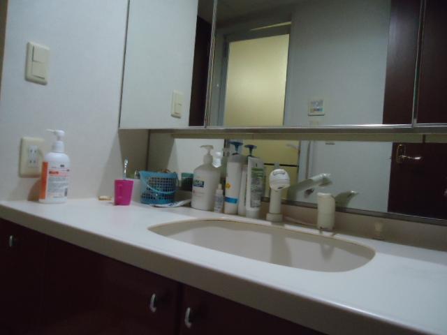 Wash basin, toilet. Indoor (11 May 2013) Shooting