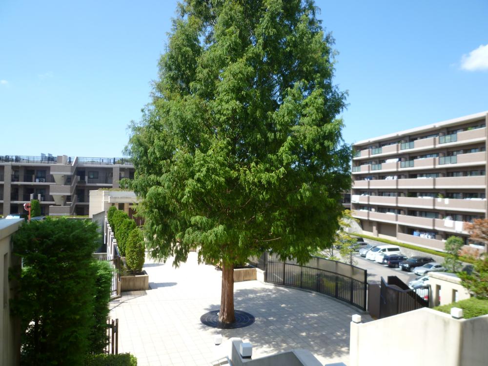 Other common areas. The courtyard of the symbol tree