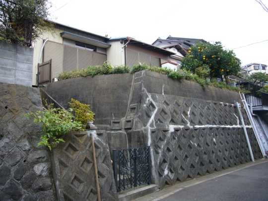 Local land photo. appearance