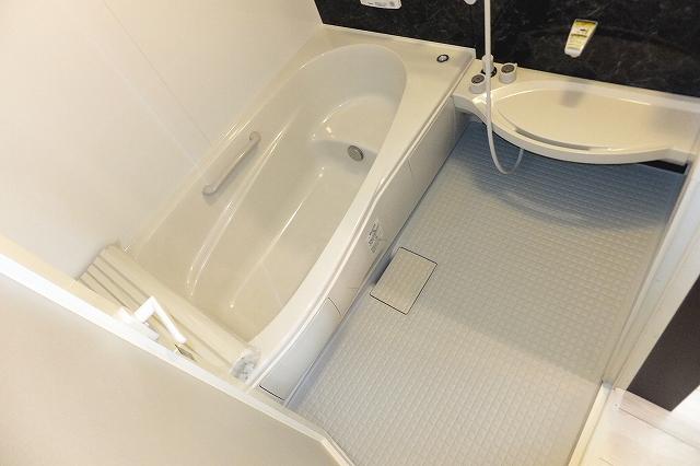 Bathroom. Indoor (December 16, 2013) Shooting