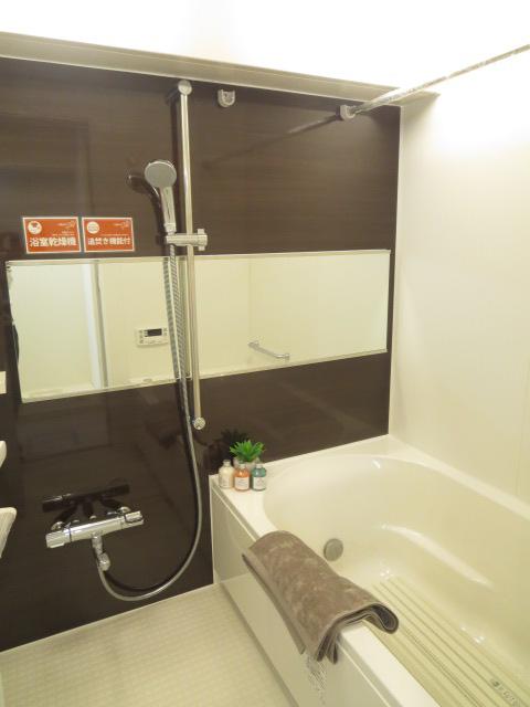 Bathroom. Indoor (11 May 2013) Shooting