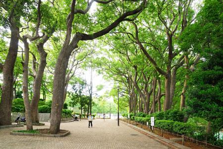 park. 1533m to Tokiwa Park