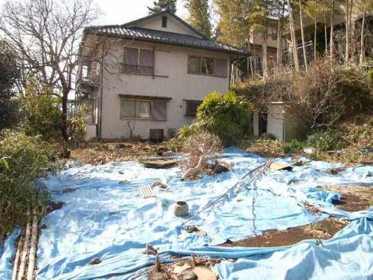 Local land photo. Flat portion (1)