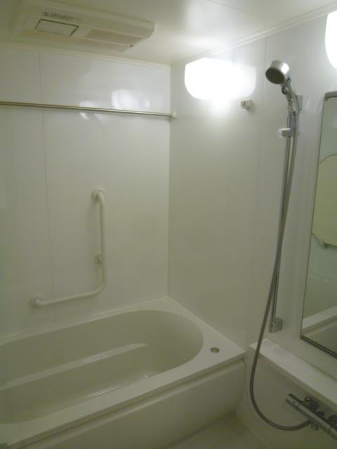 Bathroom. Indoor (11 May 2013) Shooting