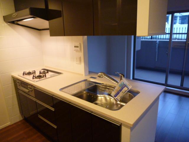 Kitchen. Indoor (11 May 2013) Shooting