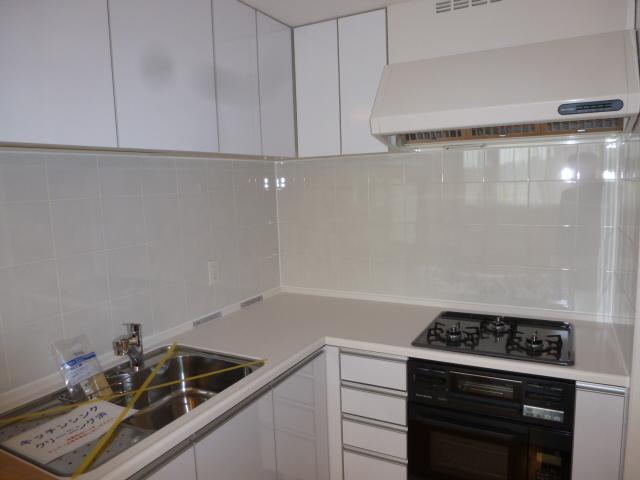 Kitchen. Indoor (10 May 2013) Shooting