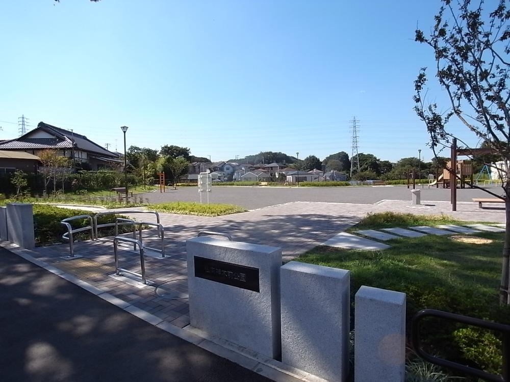 park. Bukko sacred tree have been before used as a 500m children and wife our communication of place to park. 