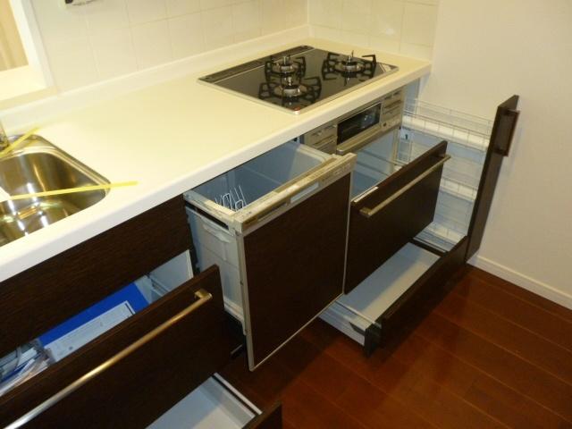 Kitchen. Dishwasher internal organs!