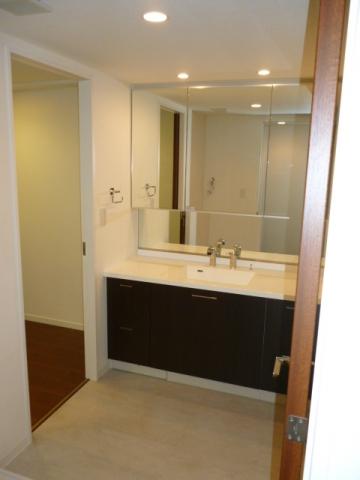 Wash basin, toilet. Bathroom vanity