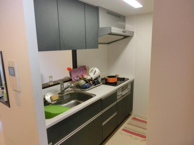 Kitchen. Indoor (12 May 2013) Shooting