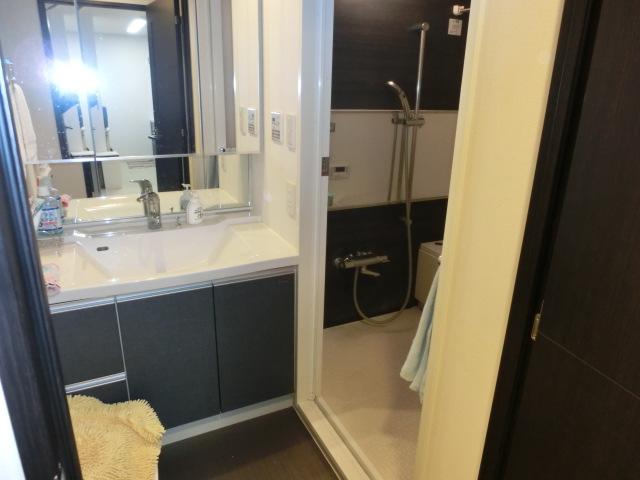 Wash basin, toilet. Indoor (12 May 2013) Shooting