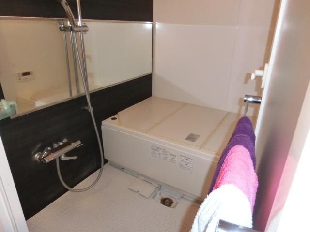 Bathroom. Indoor (12 May 2013) Shooting