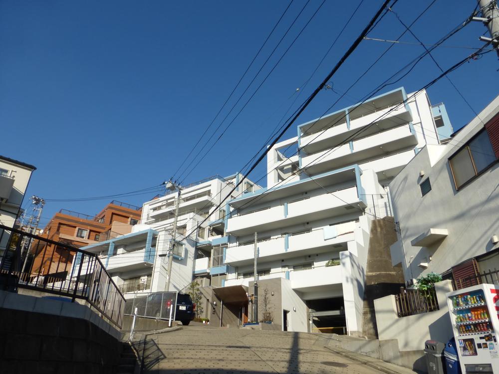 Local appearance photo. Local (November 26, 2013) Shooting