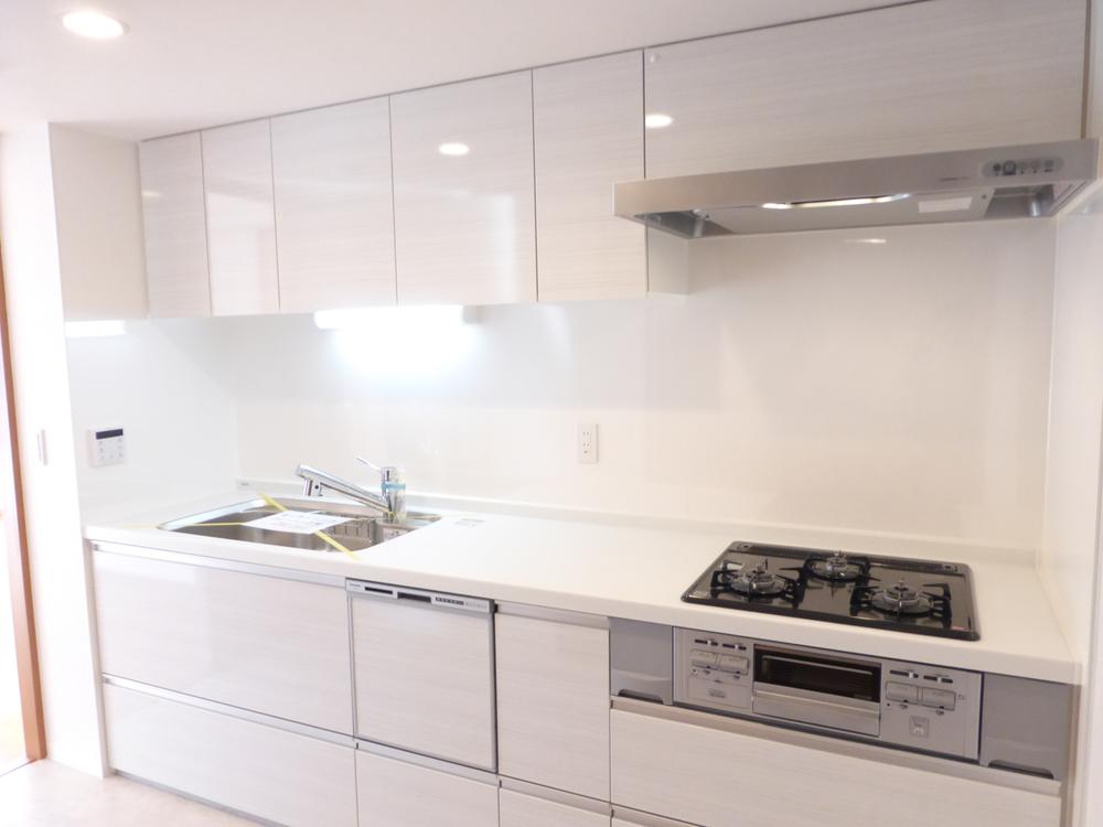 Kitchen. Indoor (November 26, 2013) Shooting