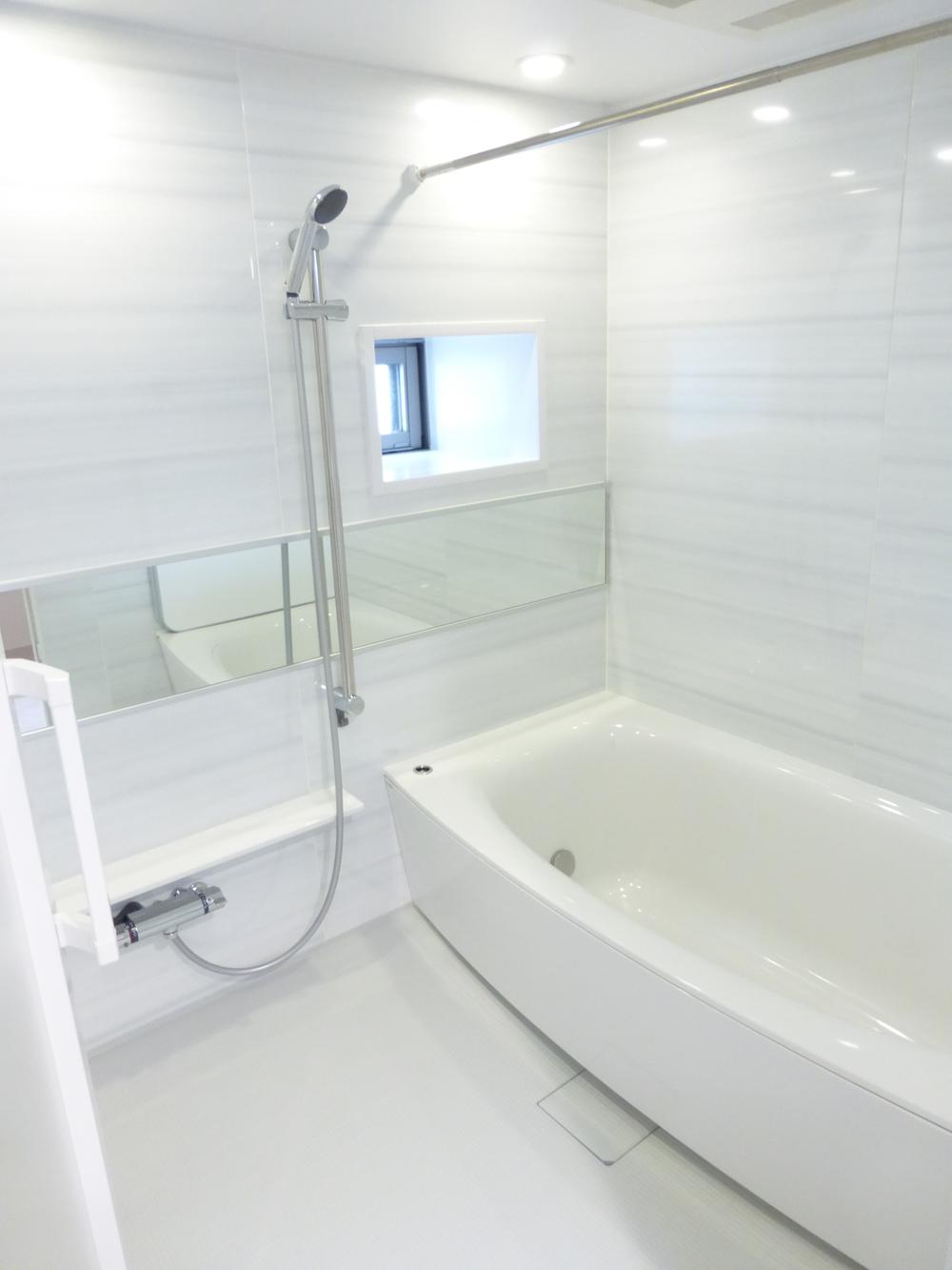 Bathroom. Indoor (November 26, 2013) Shooting