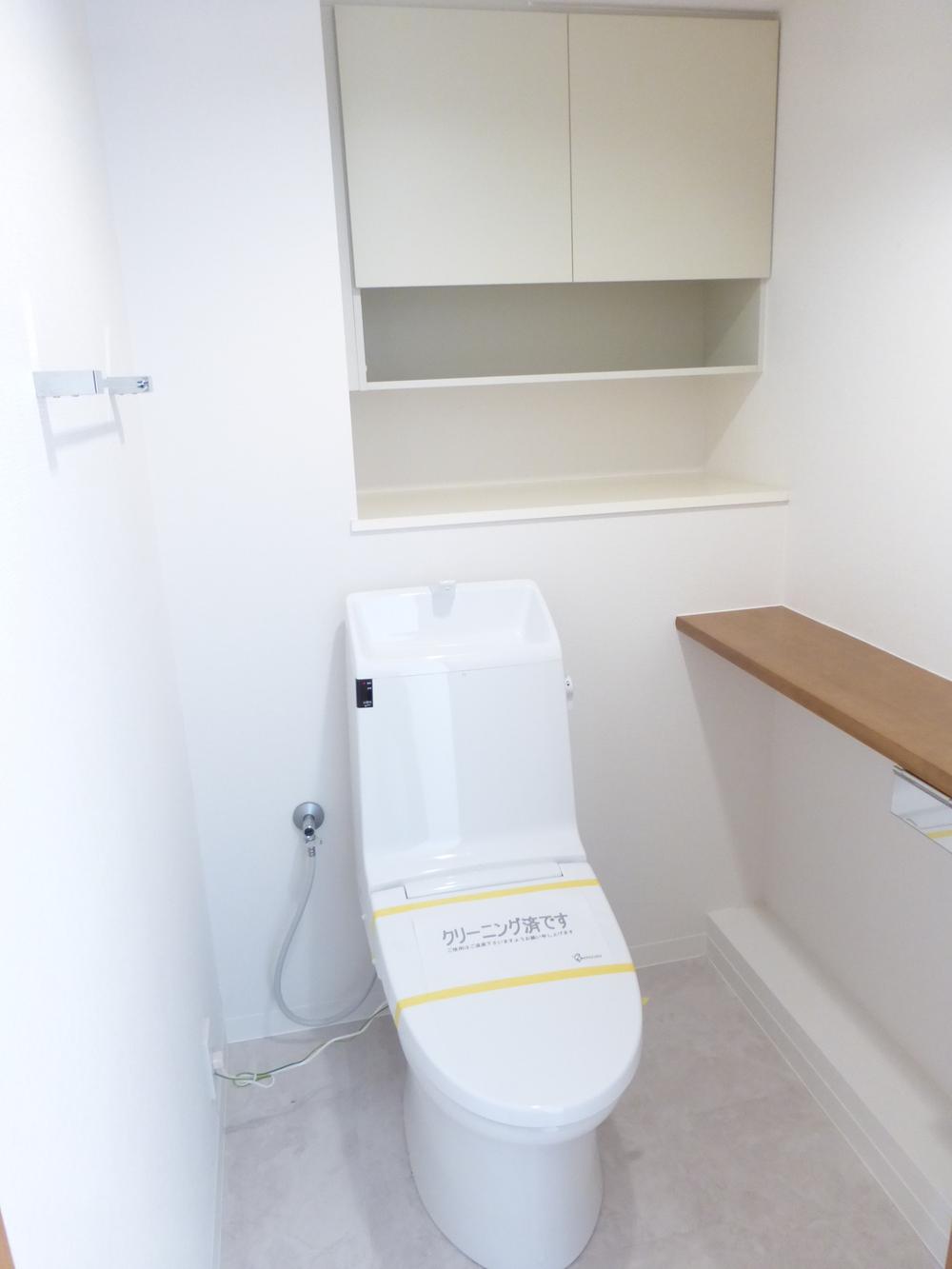 Toilet. Indoor (November 26, 2013) Shooting