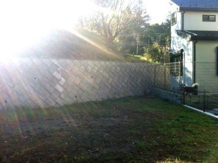 Local land photo. Local (11 May 2012) shooting