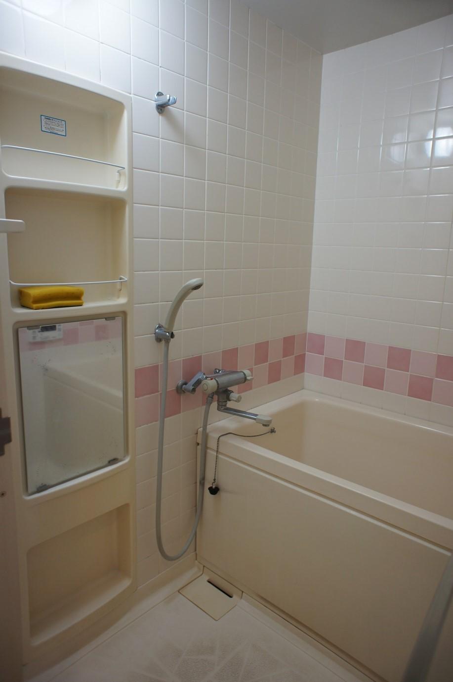 Bathroom. Indoor (12 May 2013) Shooting