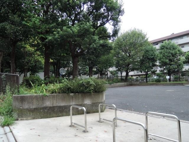 Other local