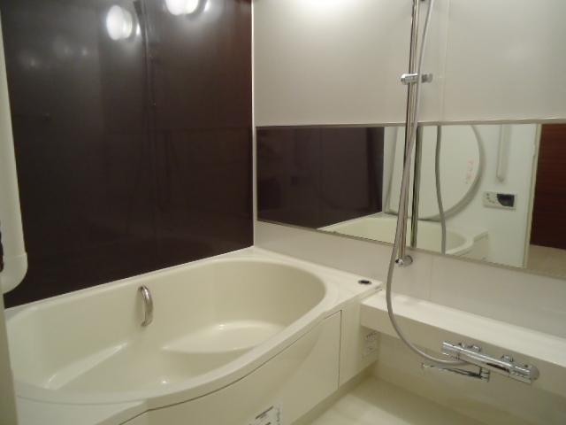 Bathroom. Indoor (10 May 2013) Shooting