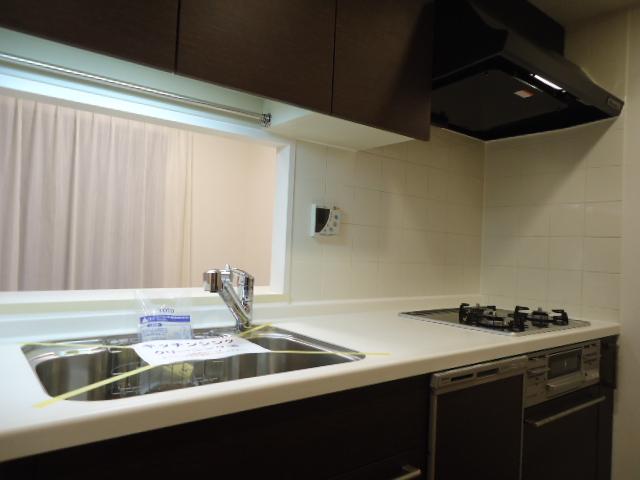 Kitchen. Indoor (10 May 2013) Shooting