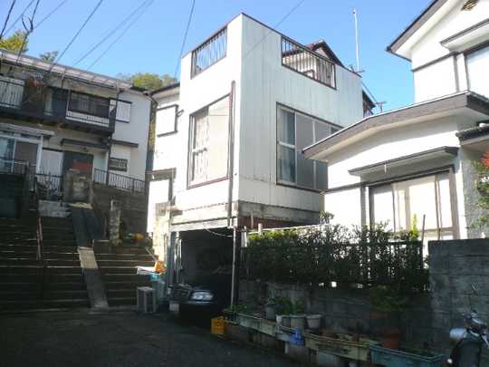 Local land photo. Appearance 1