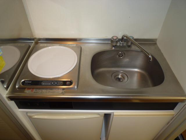 Kitchen. Indoor (February 2011) shooting