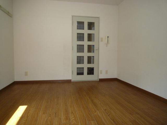 Other introspection. Indoor (February 2011) shooting