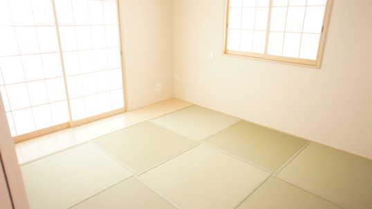 Non-living room. Japanese style room