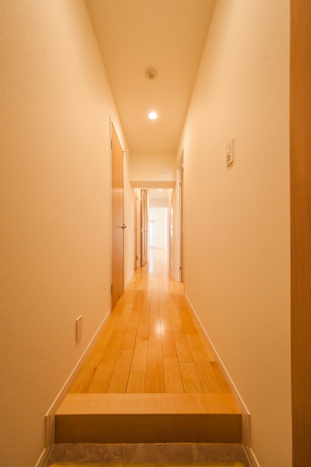 Entrance. Entrance floor