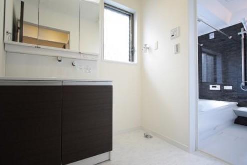 Wash basin, toilet. Example of construction