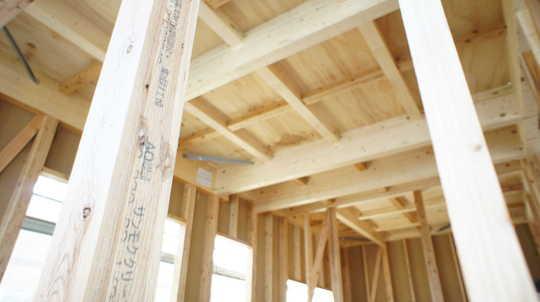 Other introspection. Local Photos