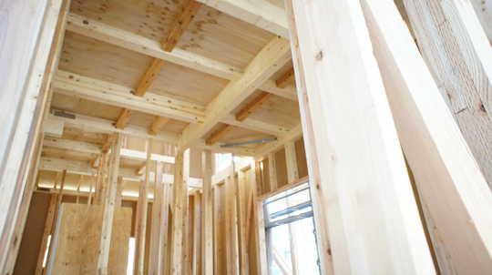 Other introspection. Local Photos