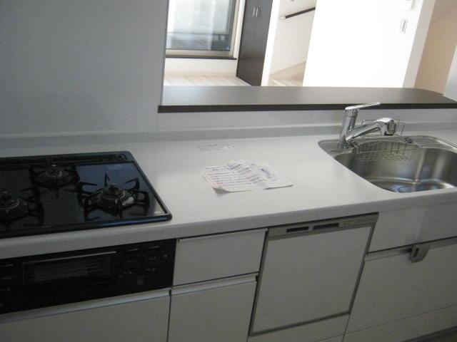 Kitchen. Indoor (12 May 2013) Shooting